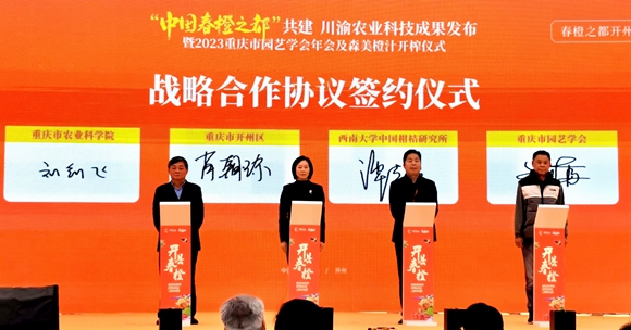 戰略合作協議簽約儀式。陳泓瑩 攝