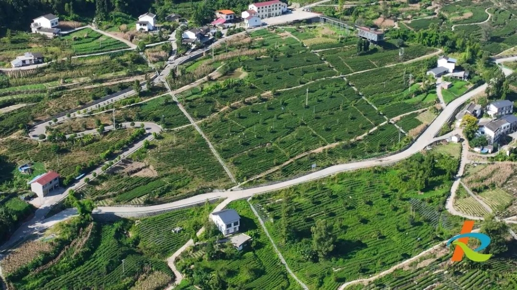 微信圖片_20230909190818_2