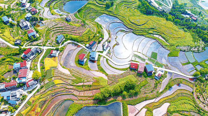 開州：白鶴展翅 經濟騰飛