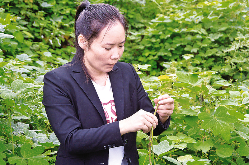 開州：&ldquo;外來媳婦&rdquo;返鄉創業帶領鄉親走上共富路