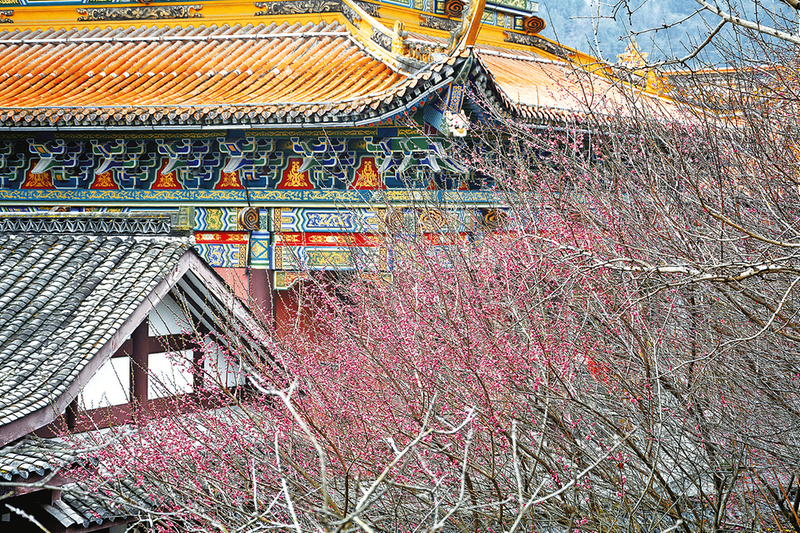 嬌艷的梅花與亭臺(tái)樓閣相映成趣。