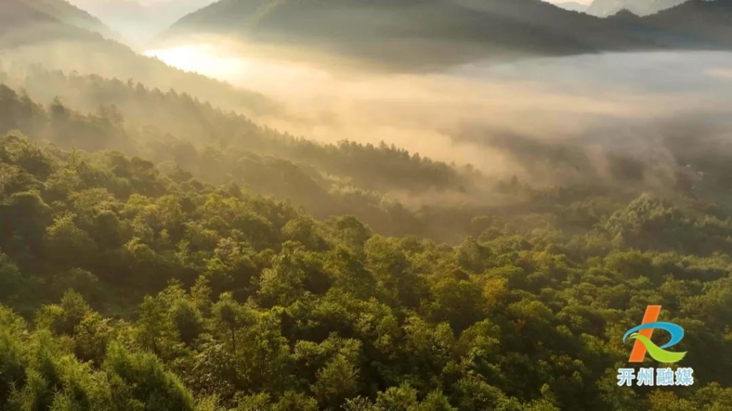 微信圖片_20230812184326