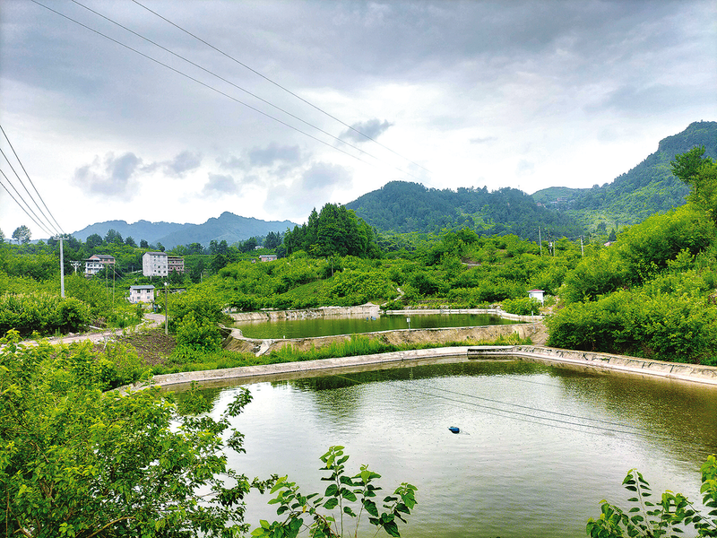 開州：山水為&ldquo;媒&rdquo;產業為&ldquo;引&rdquo; 走出鄉村振興新路子 