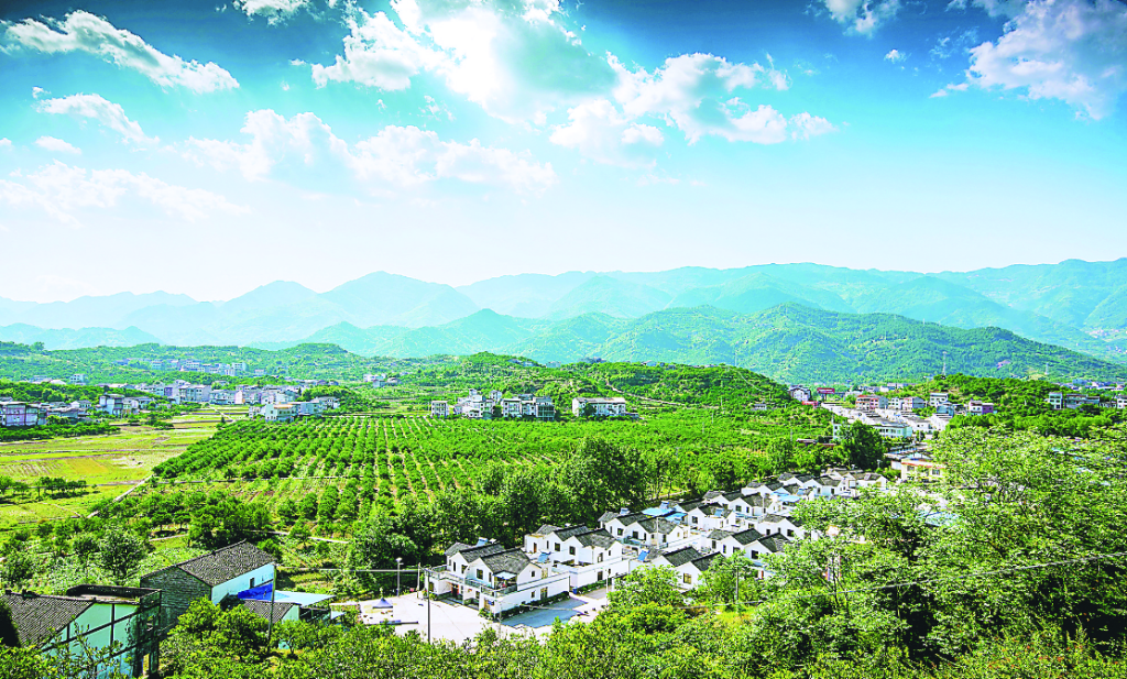 開州：一顆柑橘的成長之路