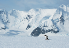 港股開盤丨恒生指數開盤漲0.39%，恒生科技指數漲0.25%